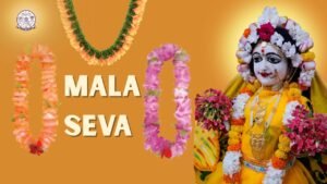 Mala Seva Per Day