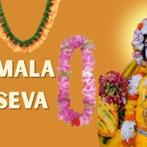 Mala Seva Per Day