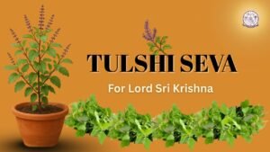 Tulshi Seva Per Day